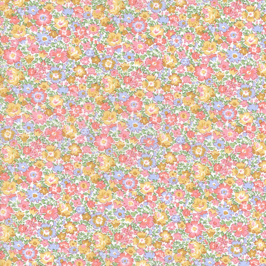 Dora Daisy (C)