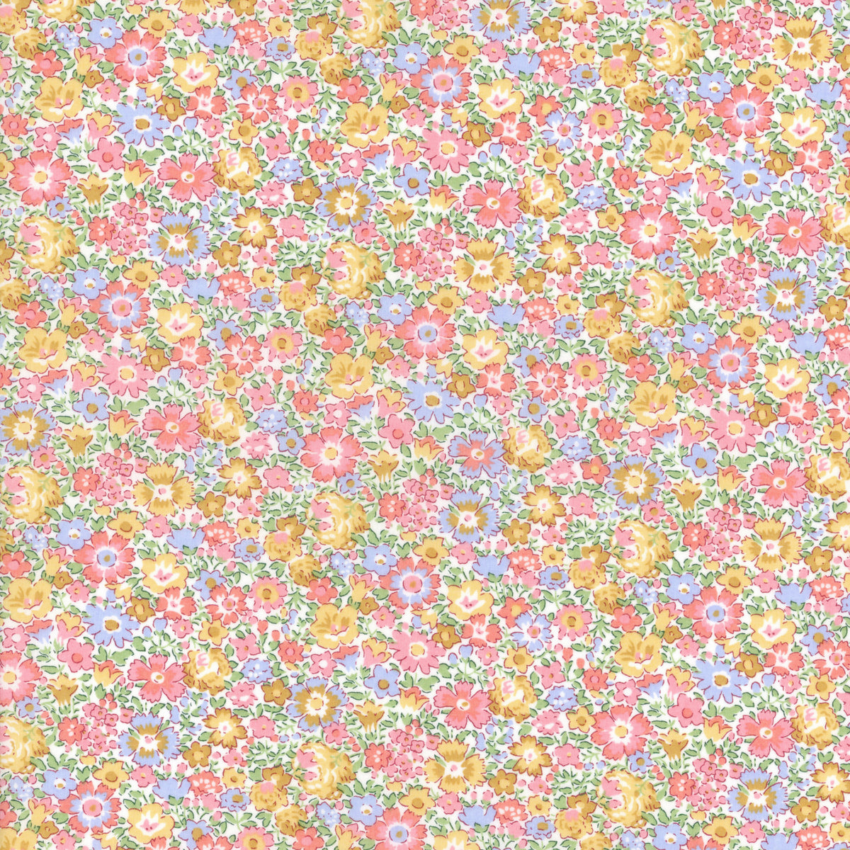 Dora Daisy (C)