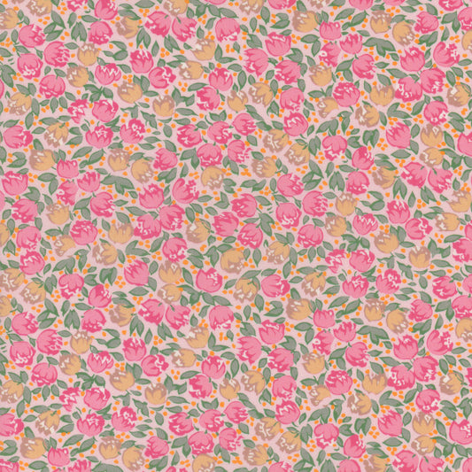 Dottie Lottie (A)