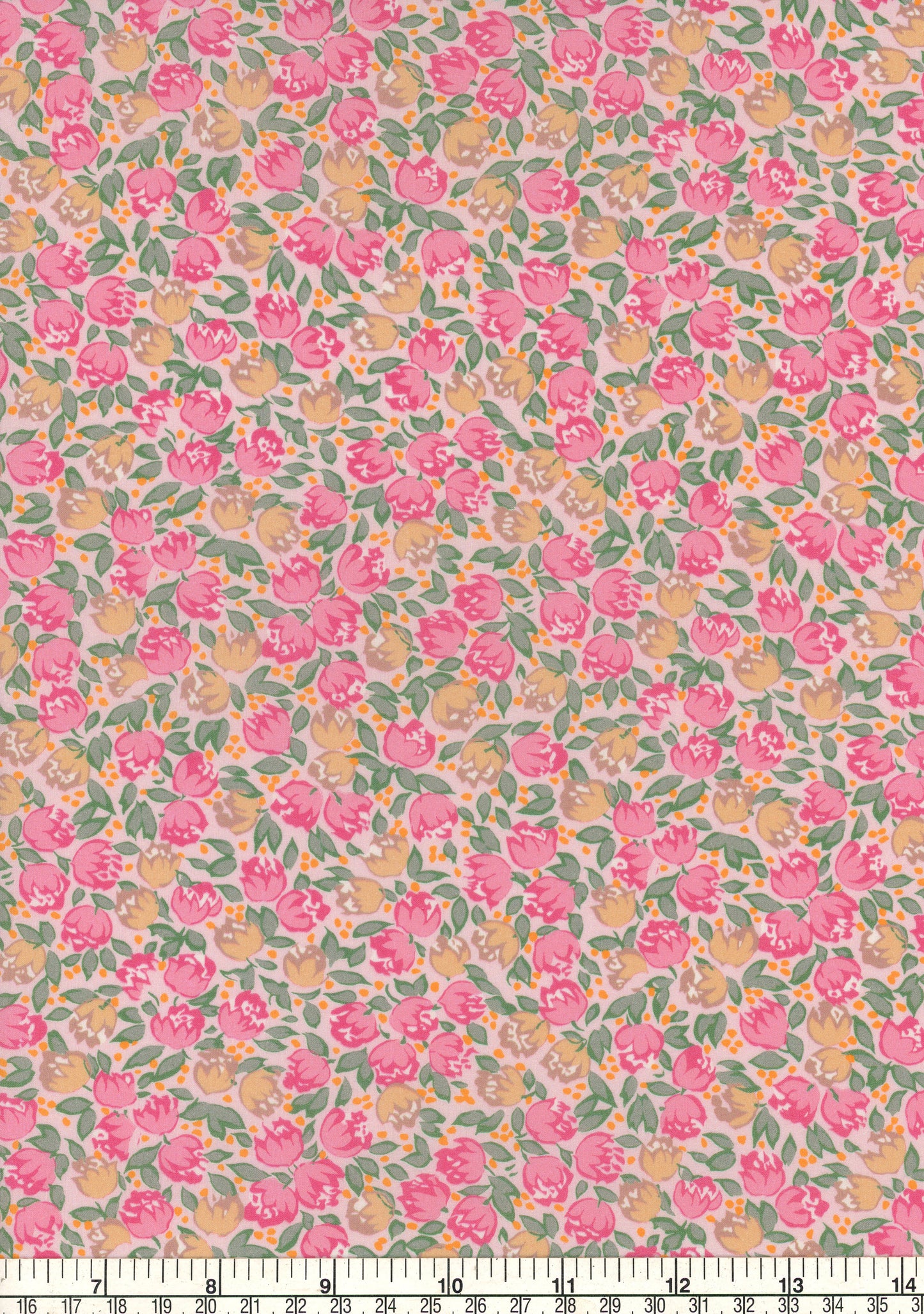 Dottie Lottie (A)