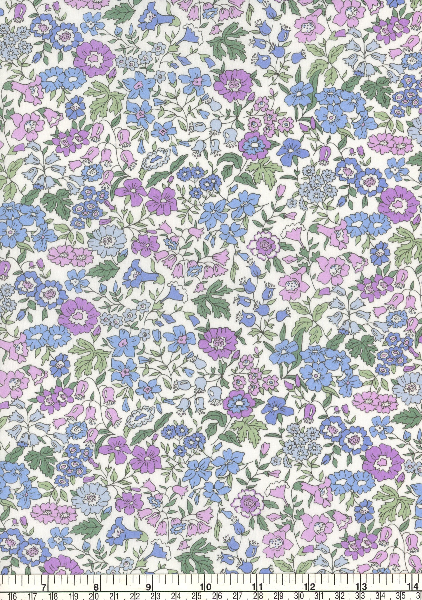 Emma Amelia Collection: Emma Amelia (B)