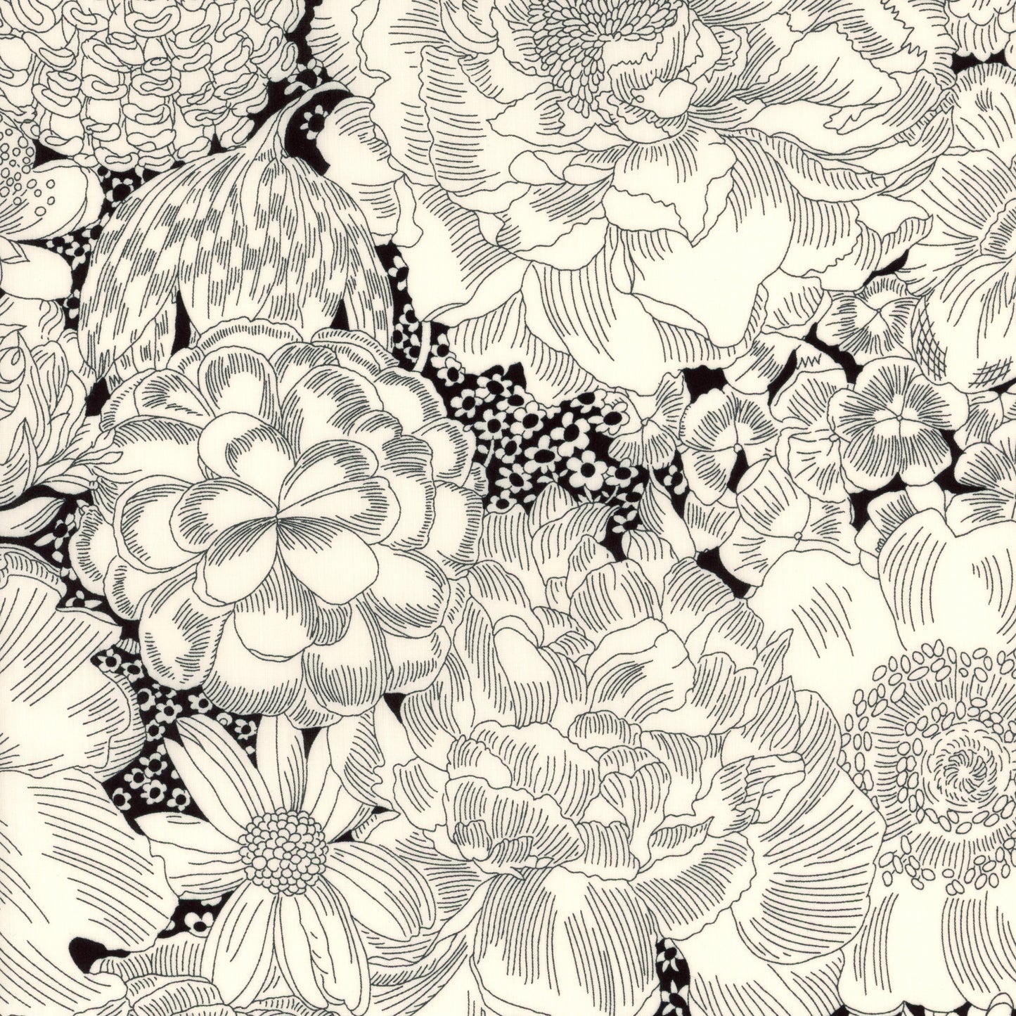 English Bloom (A)