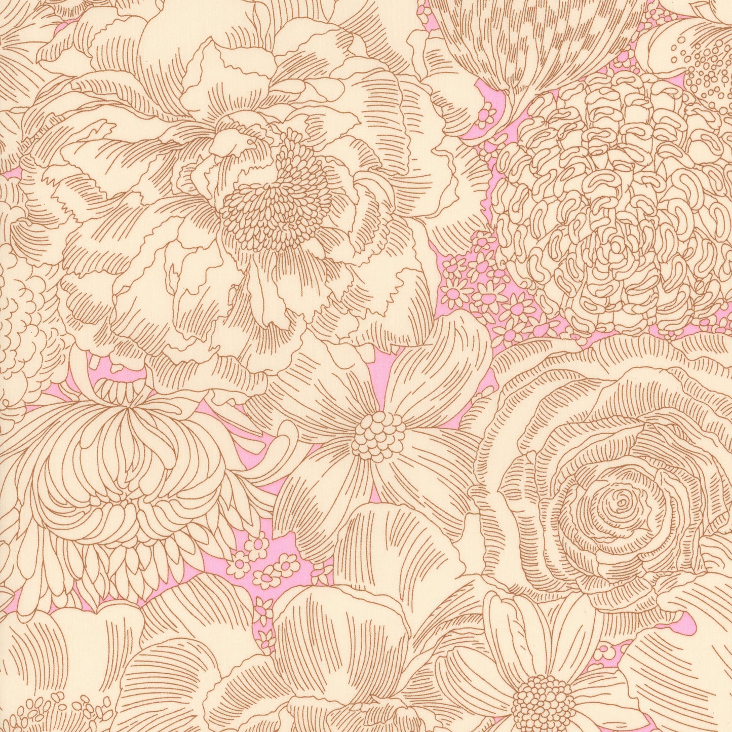 English Bloom (B)