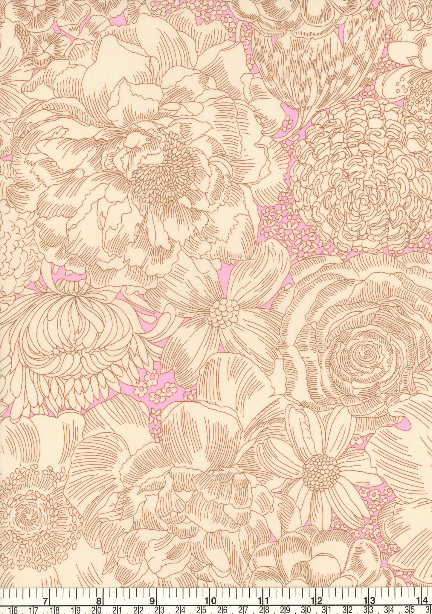 English Bloom (B)