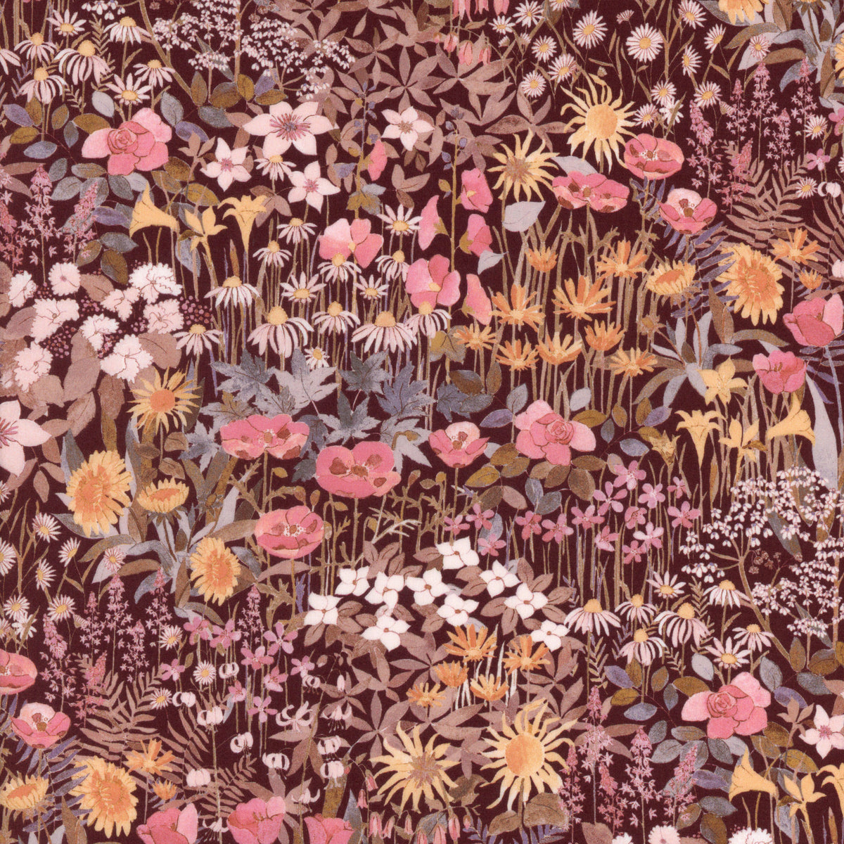 Faria Bloom (C)