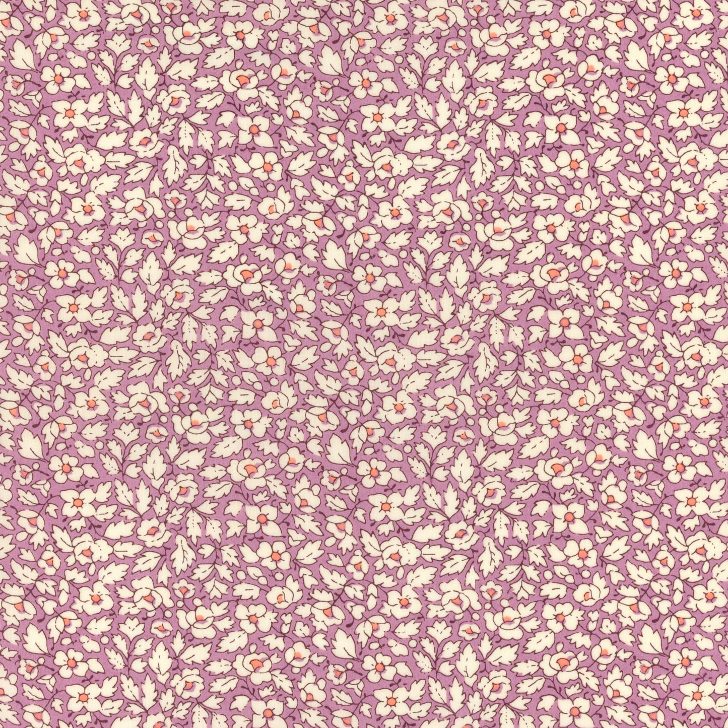 Feather Meadow Collection: Feather Meadow Lilac