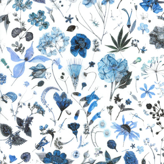 Floral Eve (D)