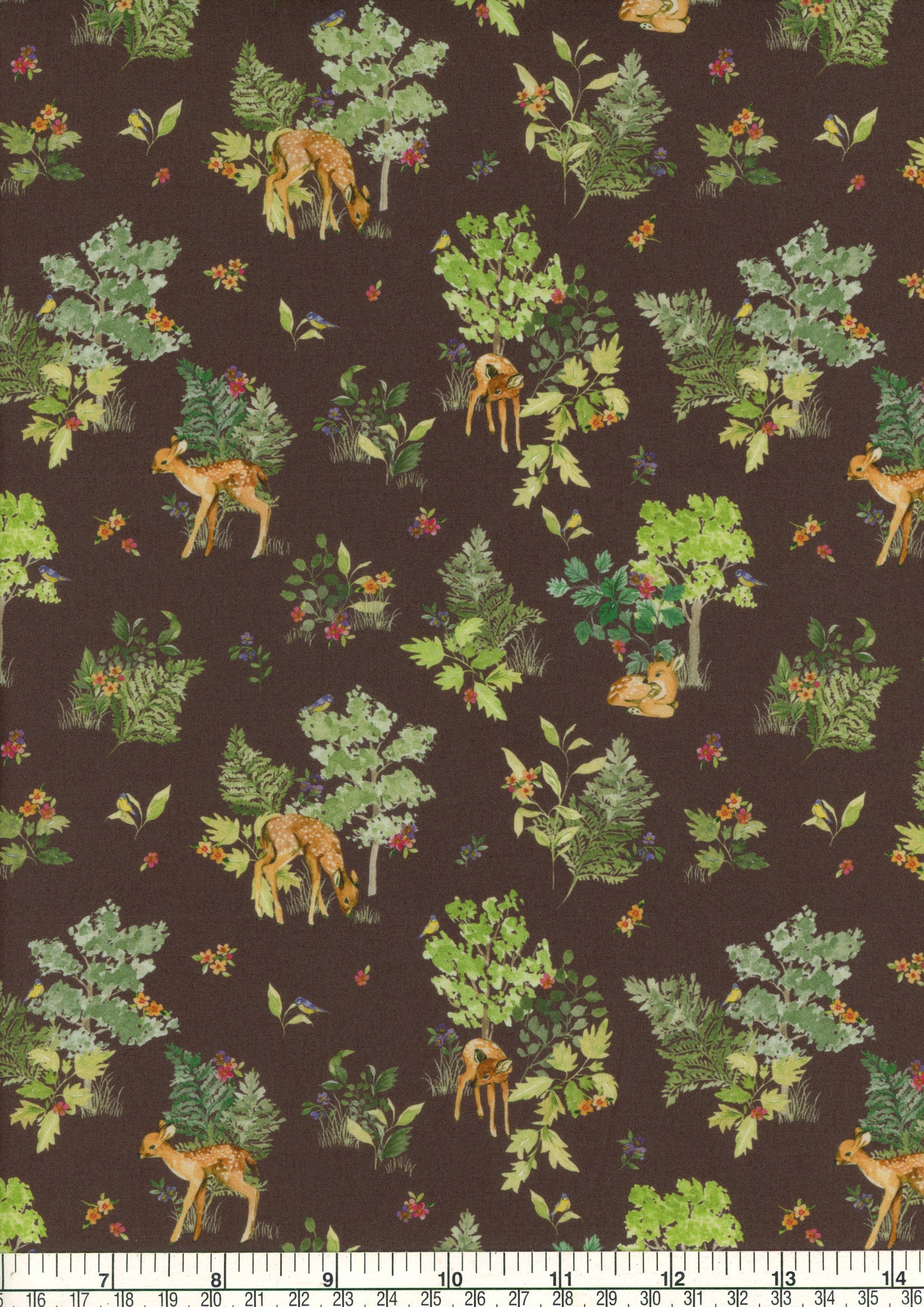 Forest Delights (A)