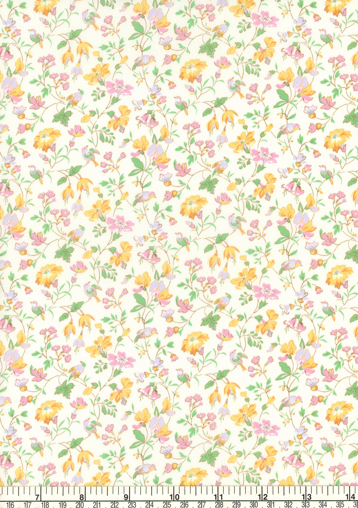 IIveta's Garden (B)