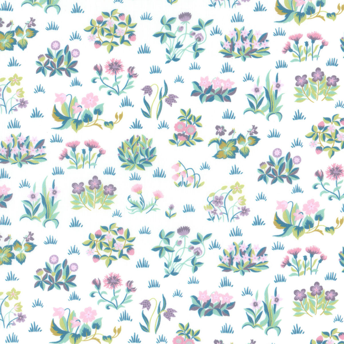 June Garden (C)