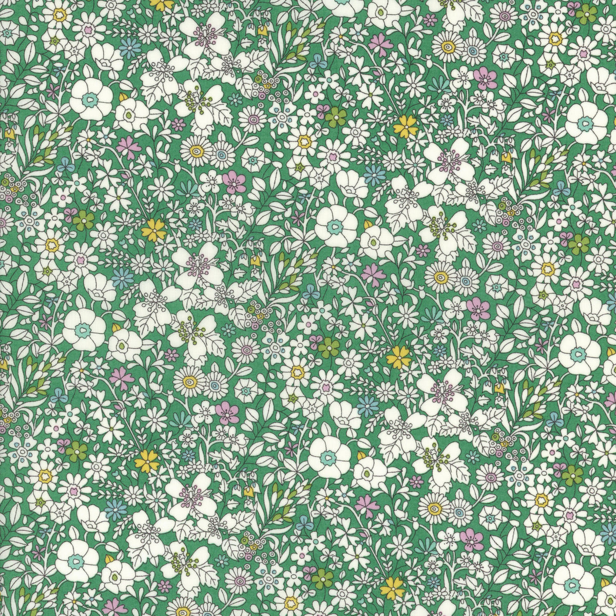 June's Meadow (M)