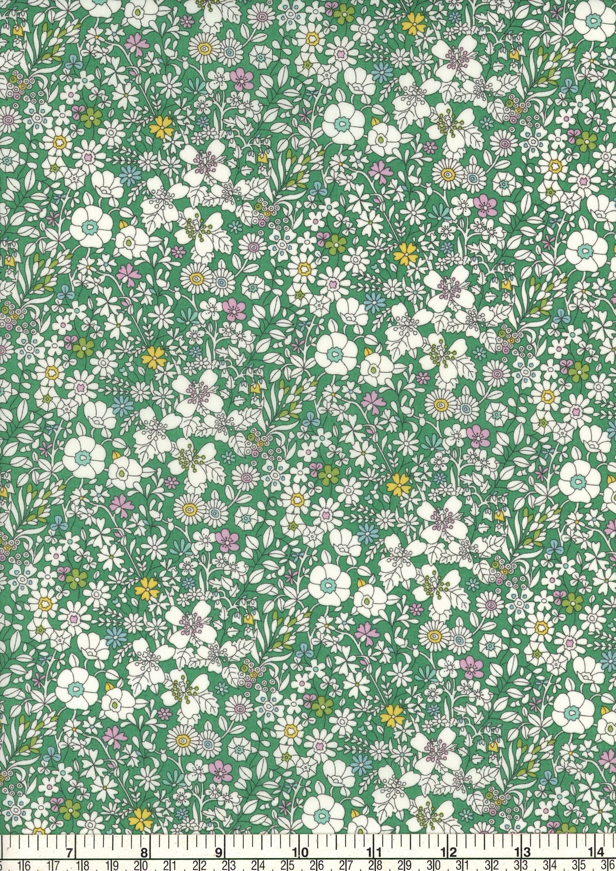 June's Meadow (M)