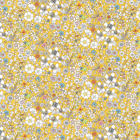 June's Meadow (C)