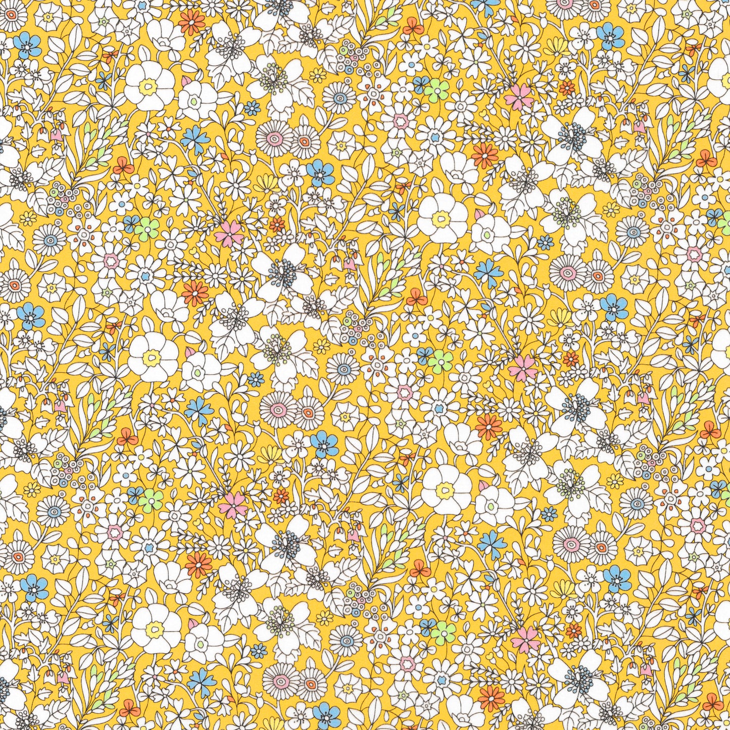 June's Meadow (C)
