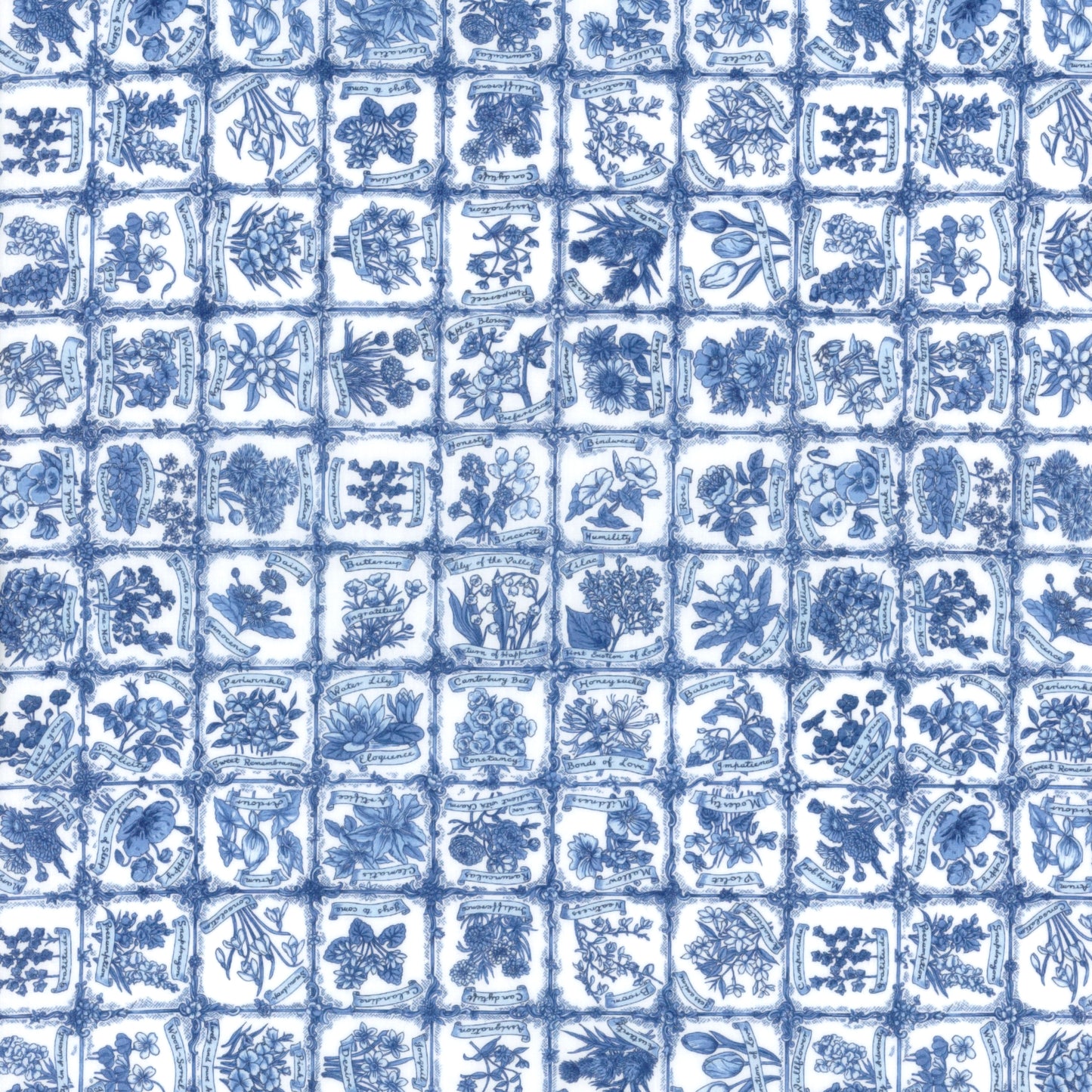 Language of Flowers (B)