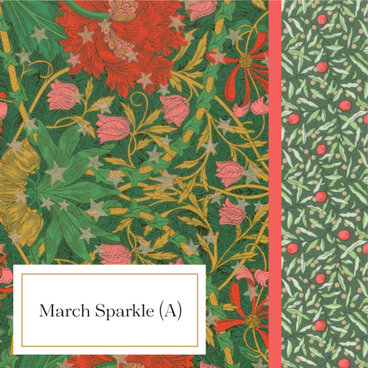 Luna Pillowcase - March Sparkle (A)