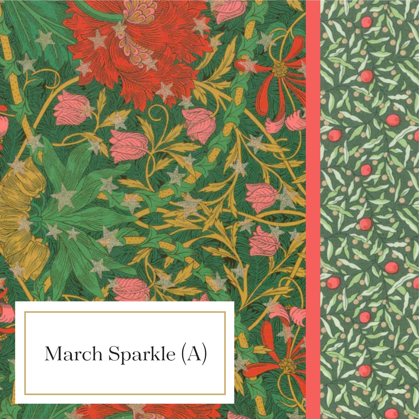 Luna Pillowcase - March Sparkle (A)