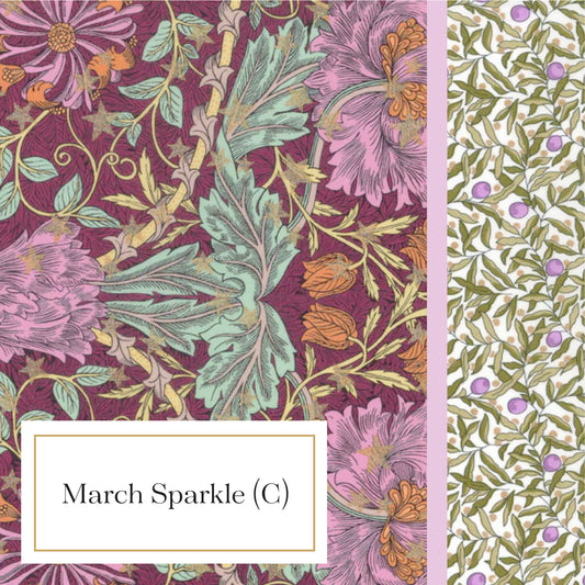 Luna Pillowcase - March Sparkle (C)
