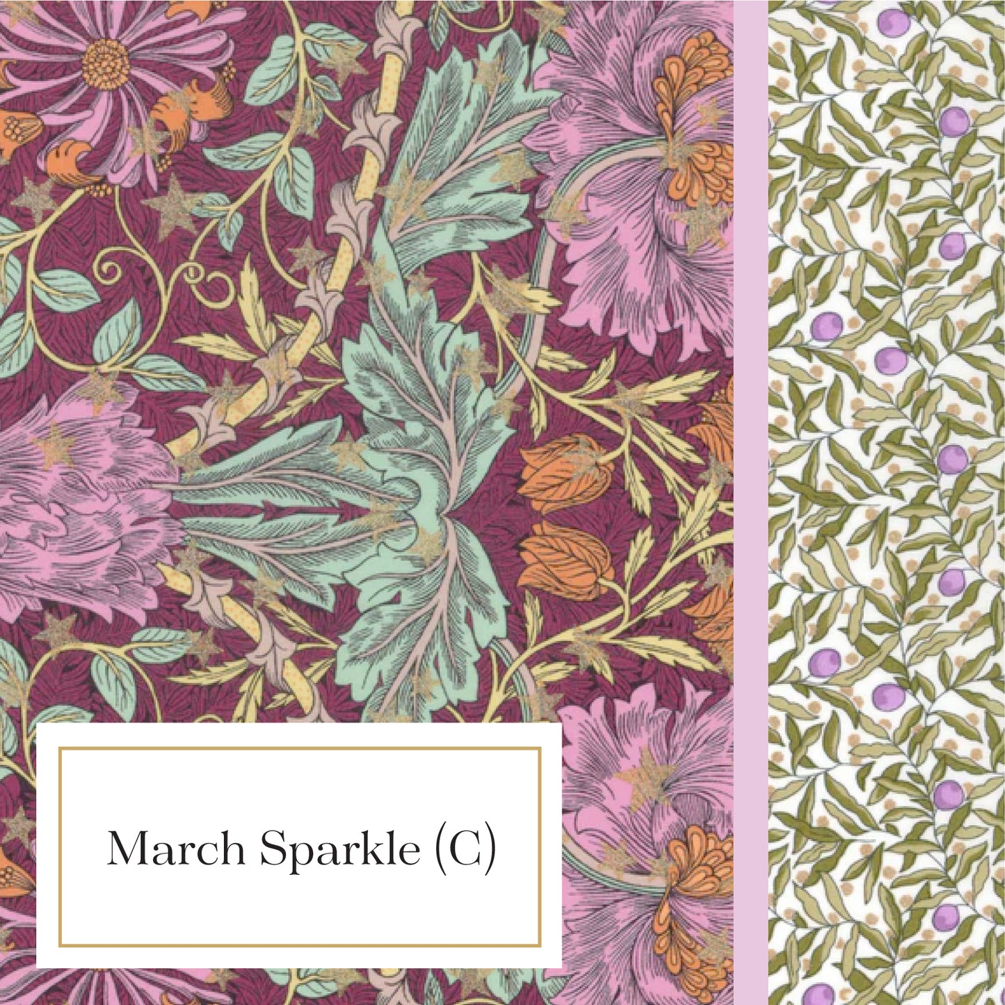 Luna Pillowcase - March Sparkle (C)