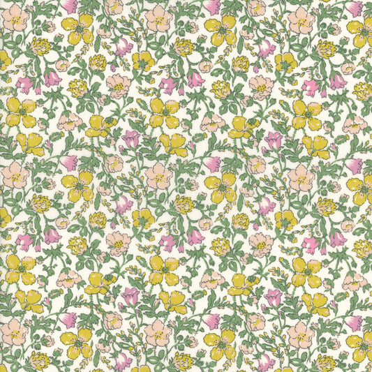 Meadow (C)