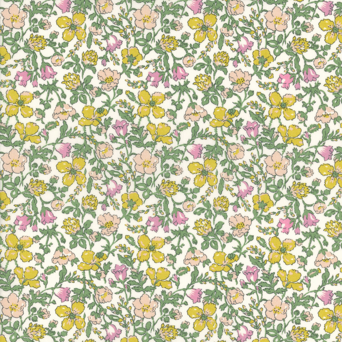 Meadow (C)