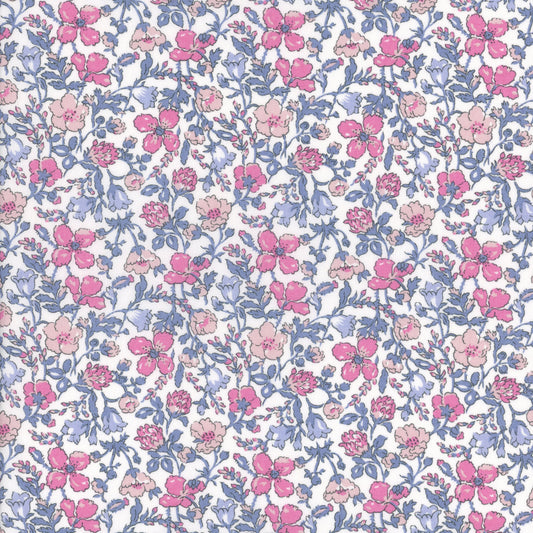 Meadow (D)