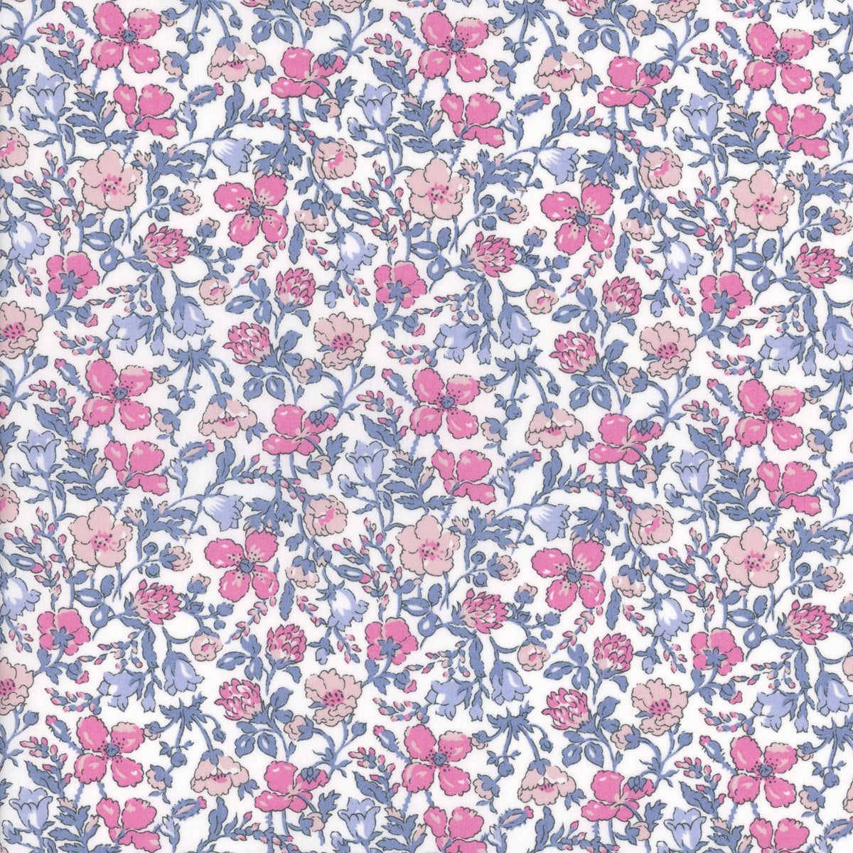 Meadow (D)