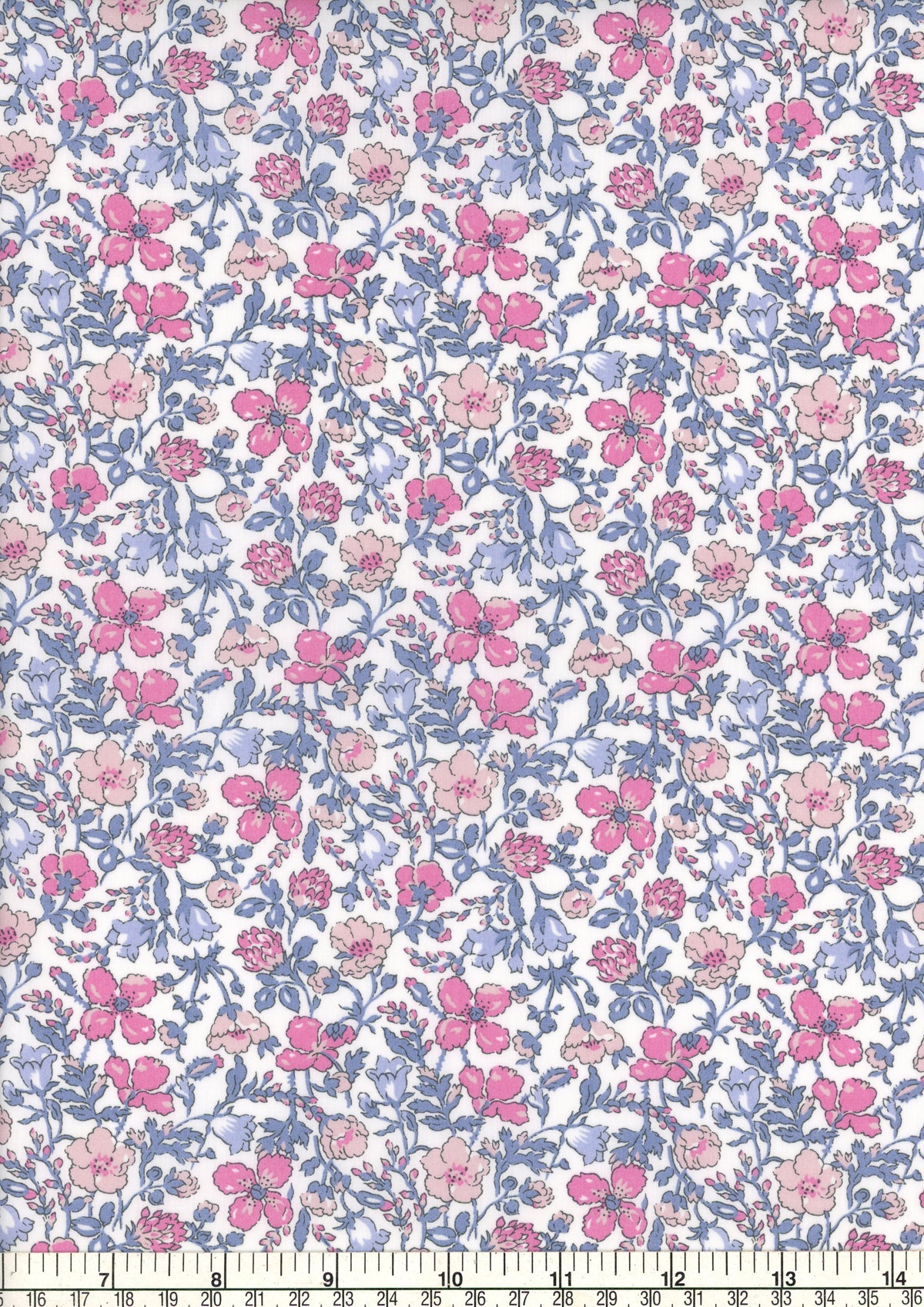 Meadow (D)