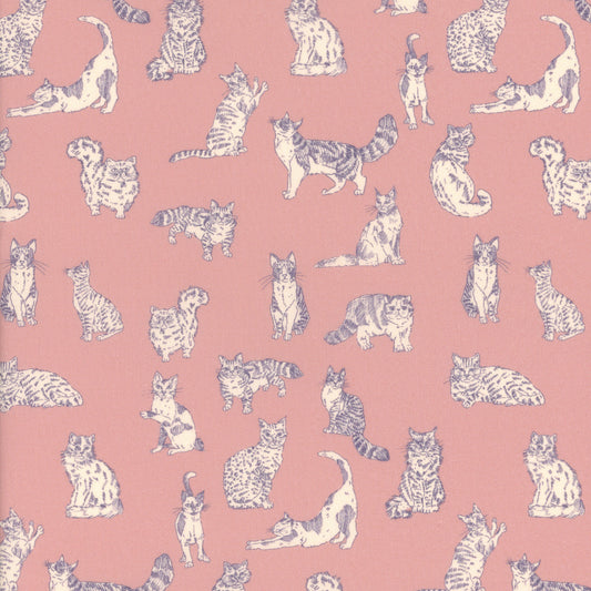 Meow (A)