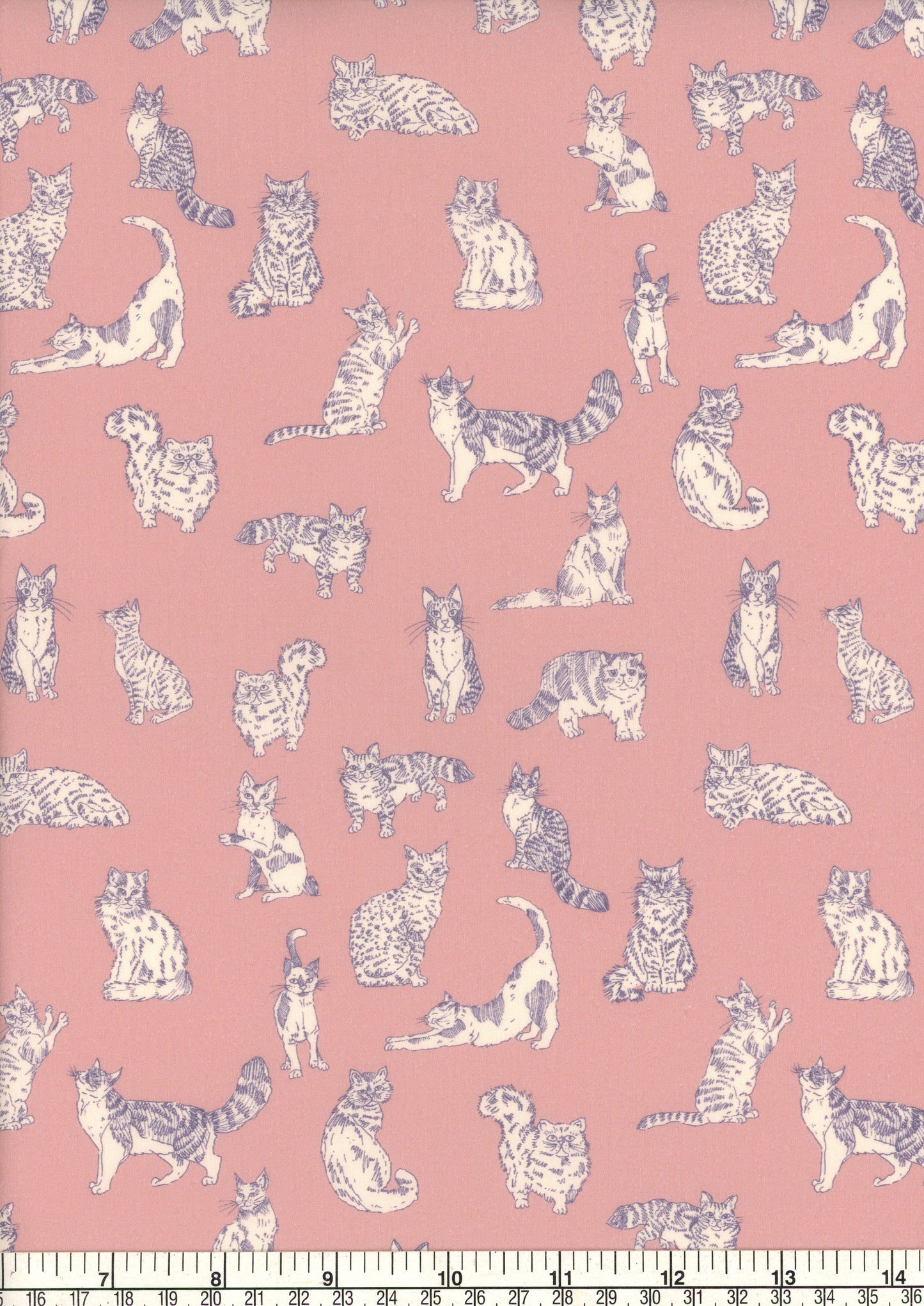 Meow (A)