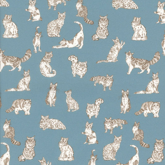 Meow (C)