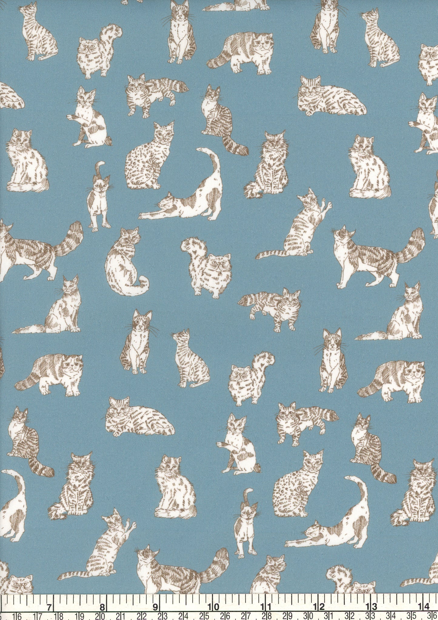 Meow (C)