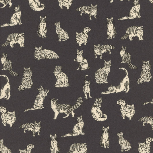 Meow (D)