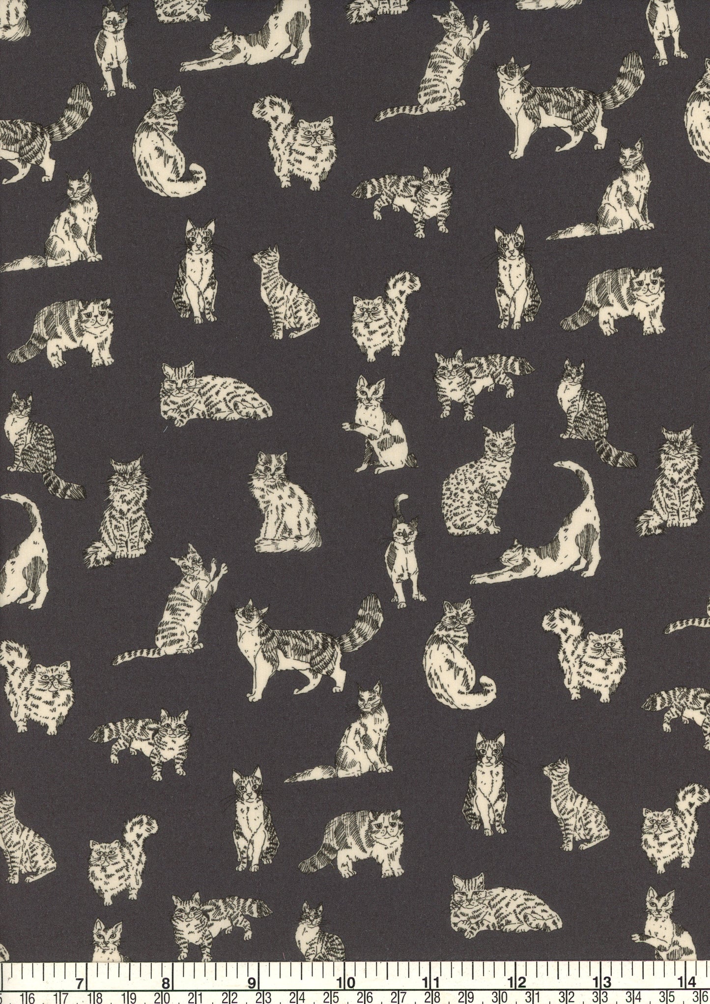 Meow (D)