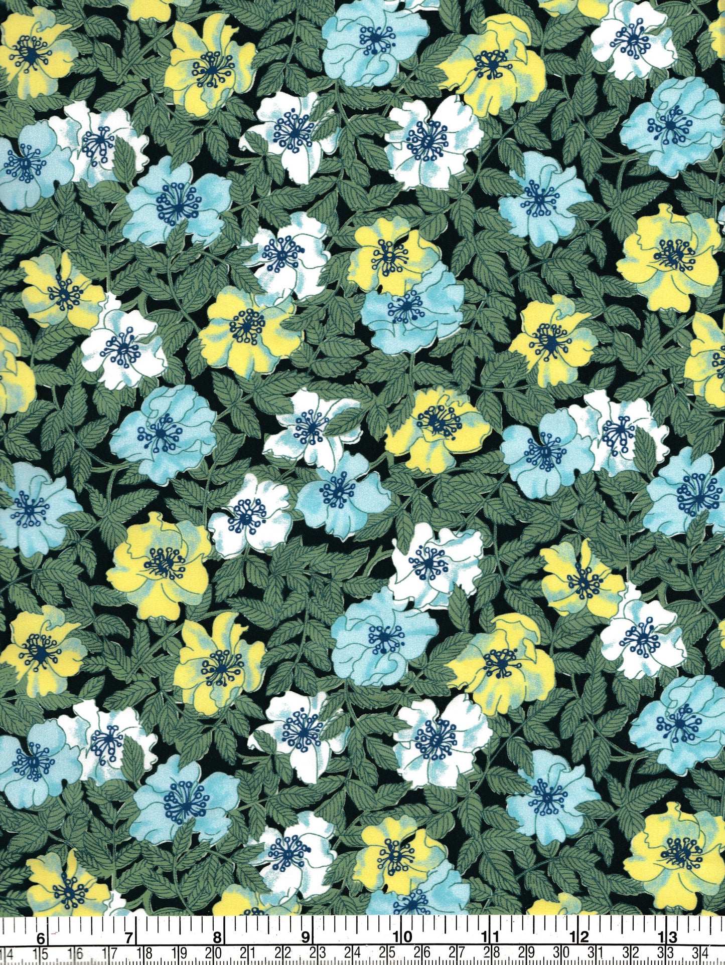 Organic Wild Rosinda (A)