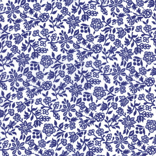 Periwinkle (A)