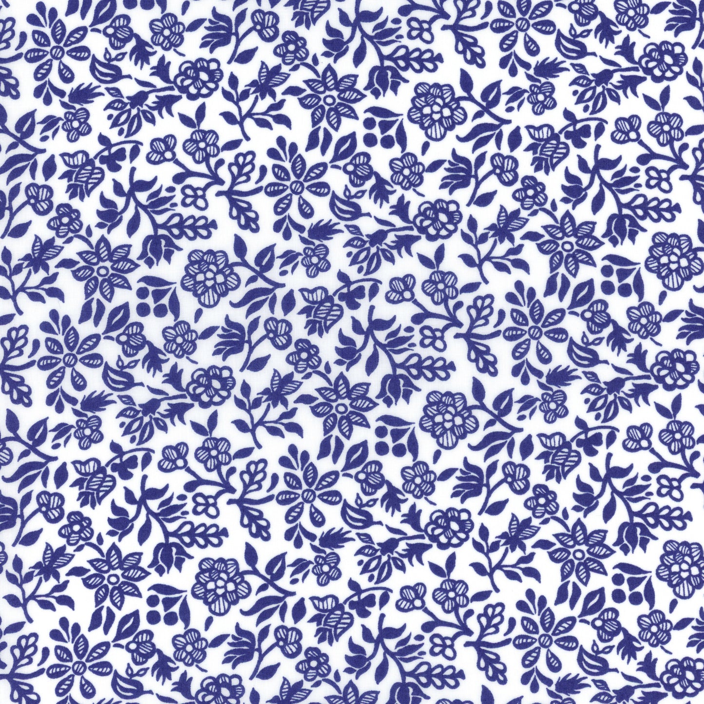 Periwinkle (A)