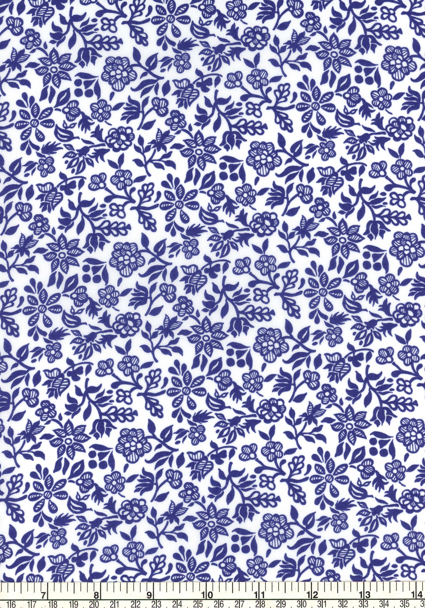 Periwinkle (A)