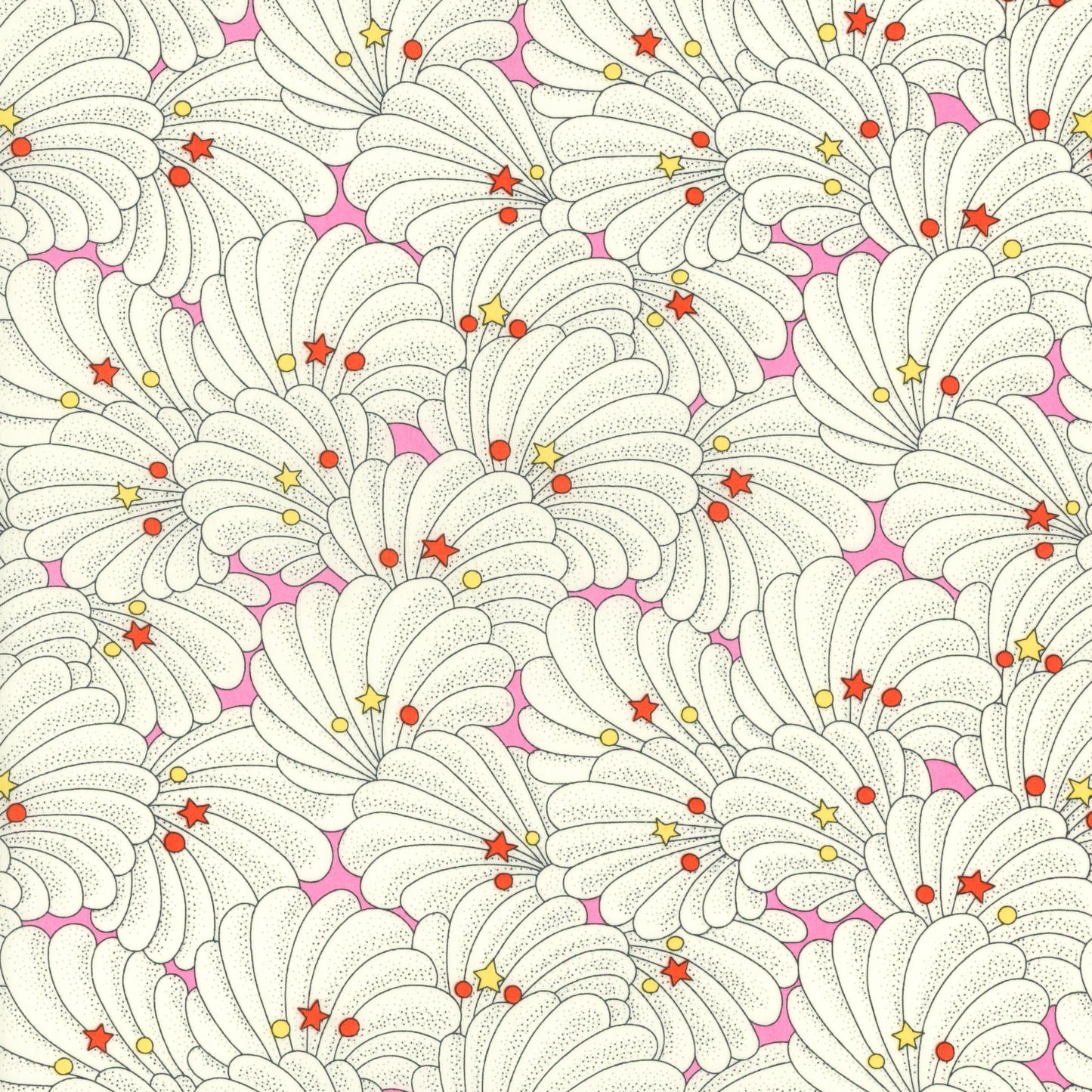 Poiret Shell (C)