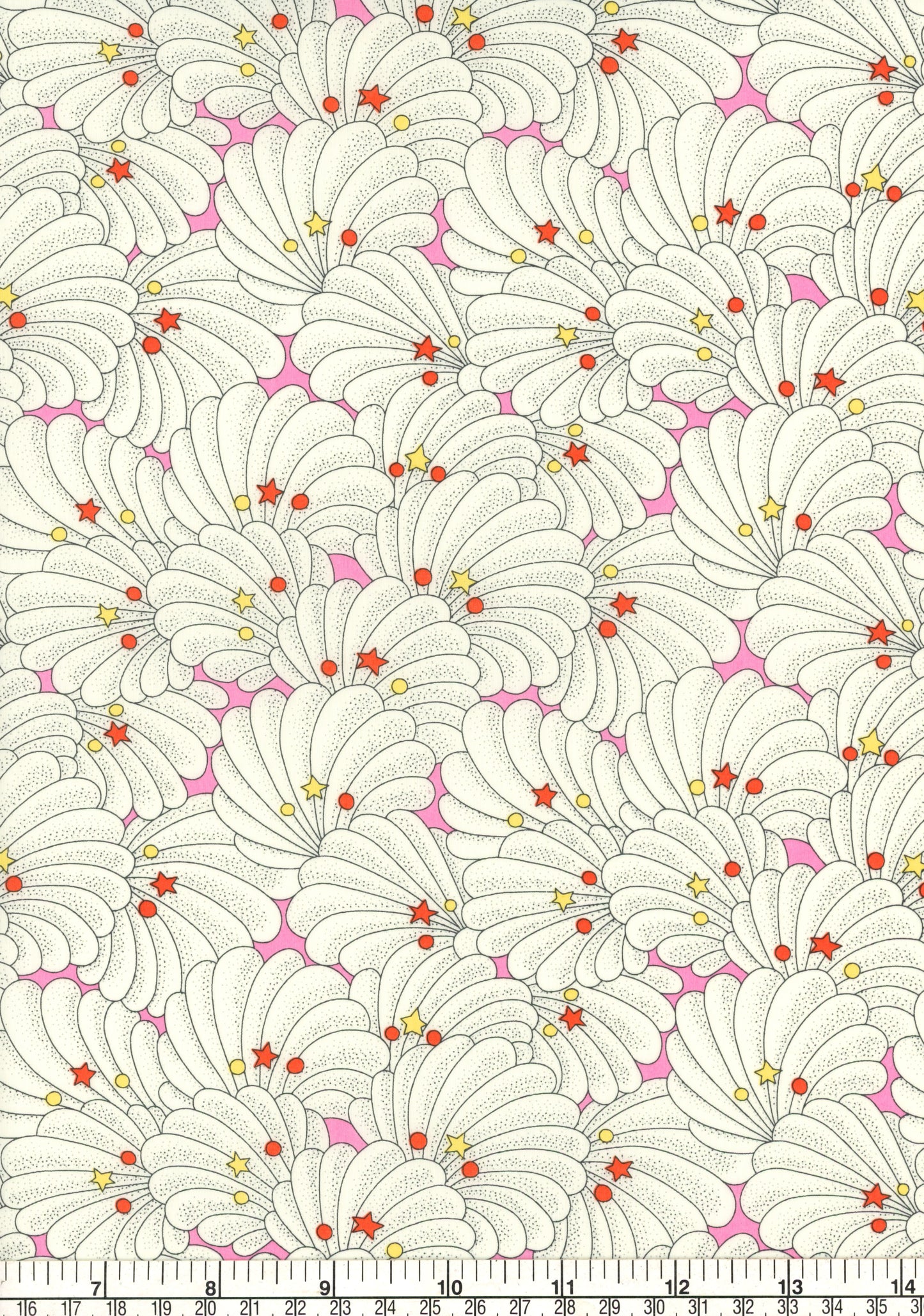 Poiret Shell (C)