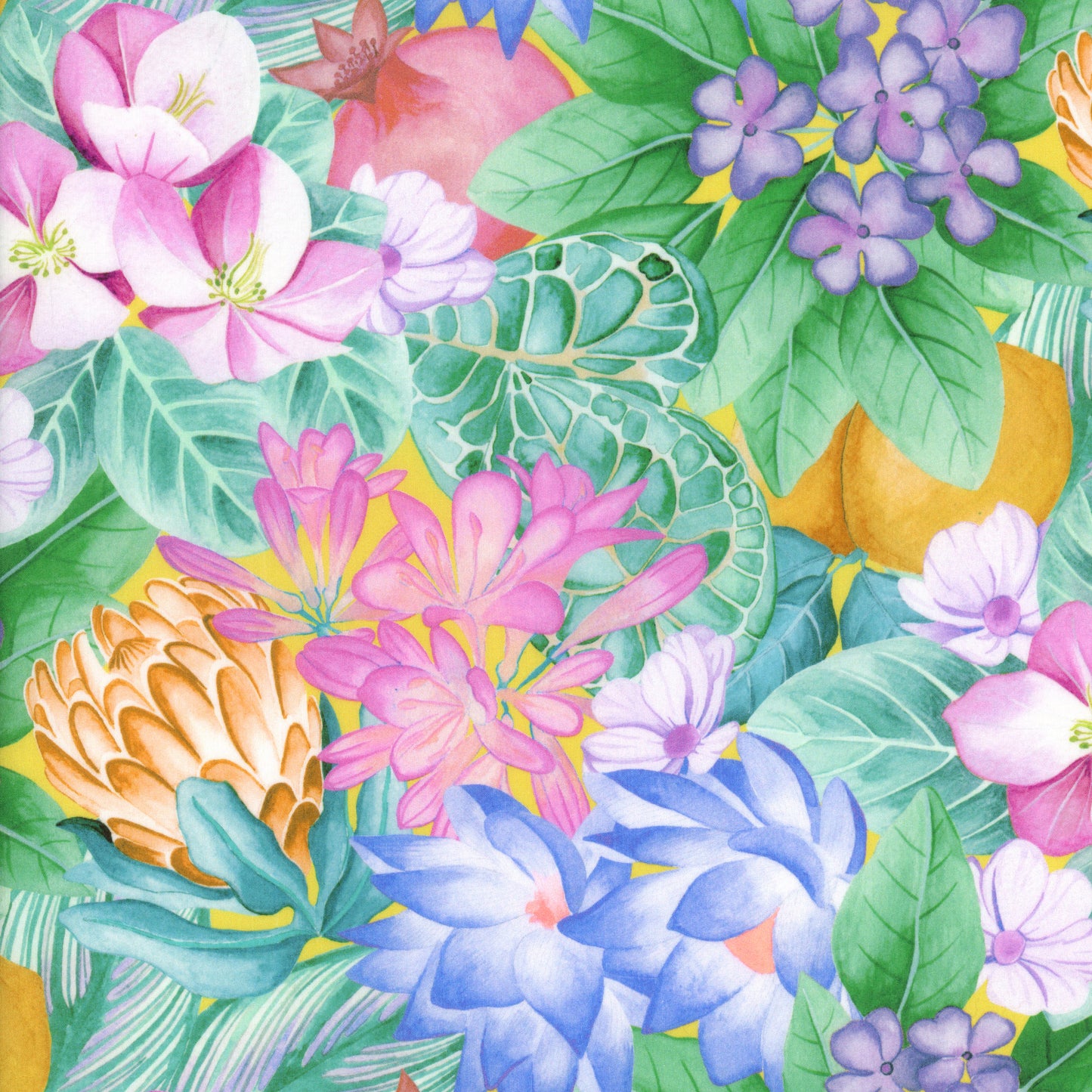 Poppy and Freddie (A)