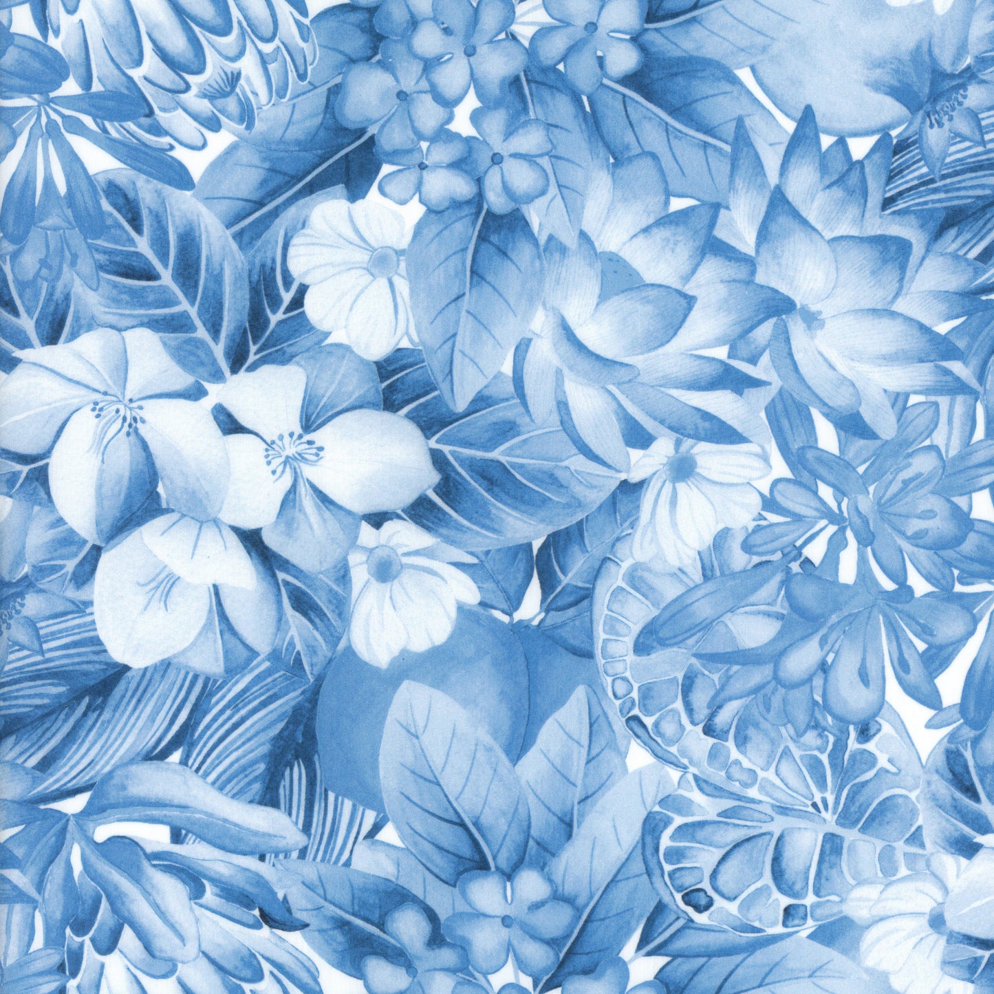 Poppy and Freddie (C)