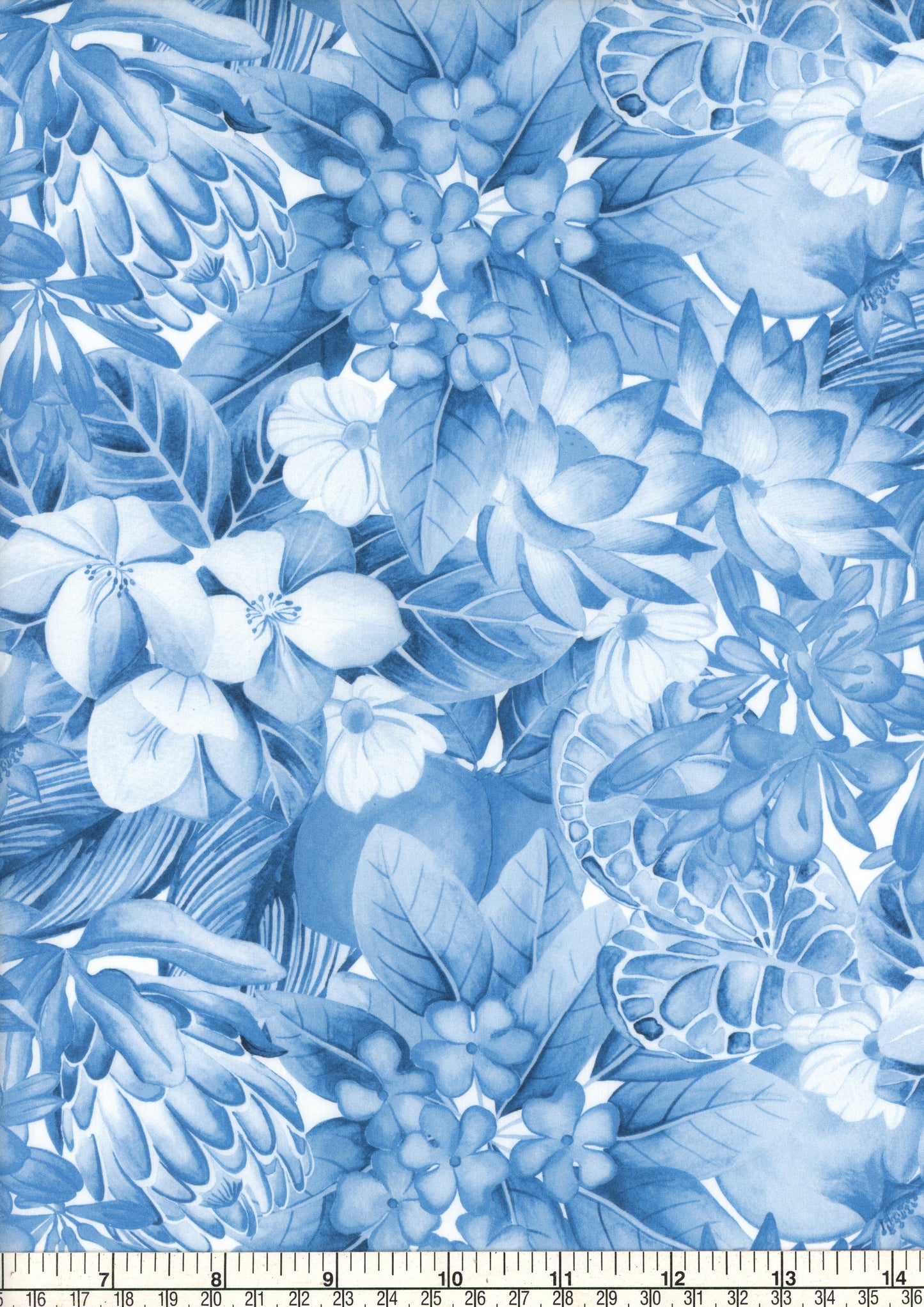 Poppy and Freddie (C)