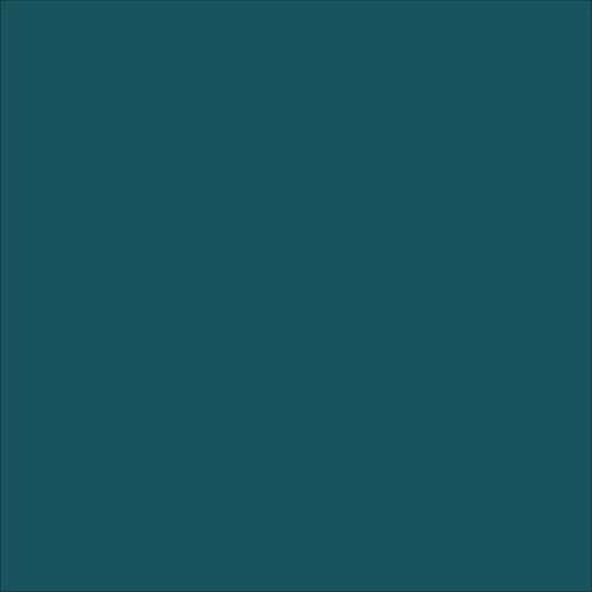 Solid Kingfisher