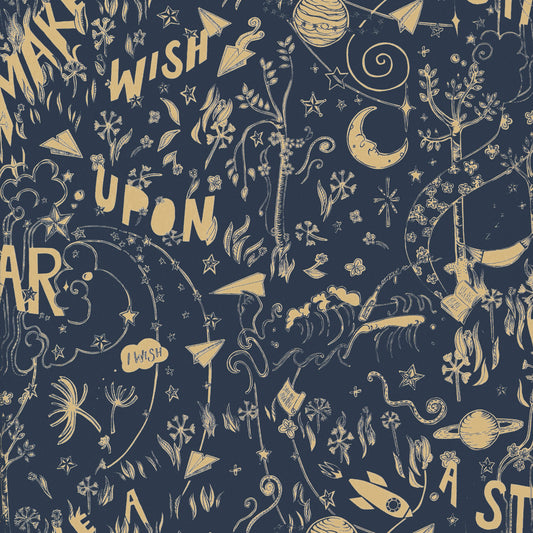 Star Wishes (B)