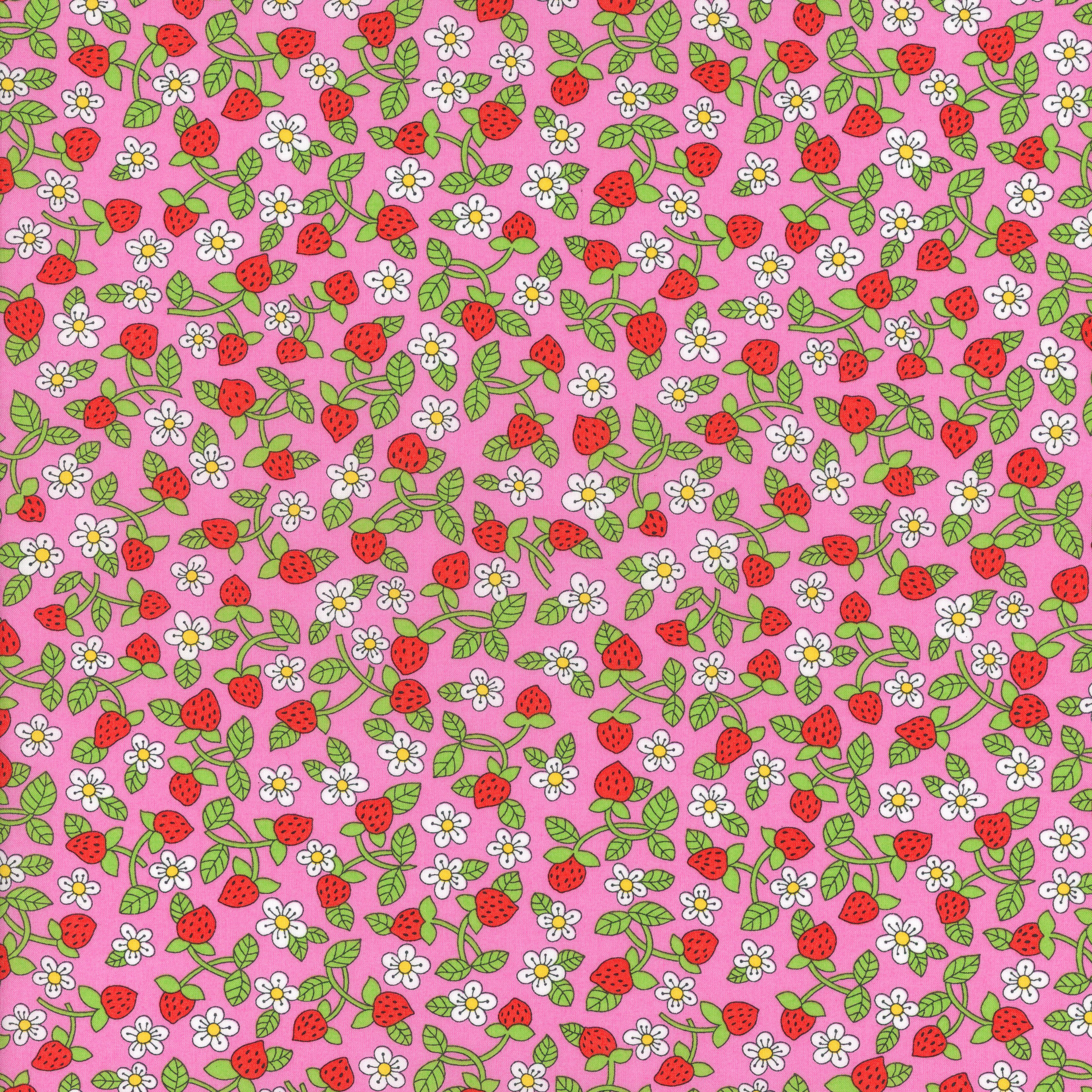 Strawberries and Cream (C) 2026 – DuckaDilly