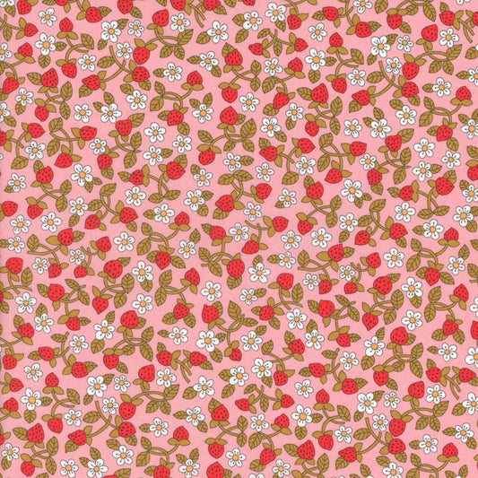 Strawberries and Cream (C)
