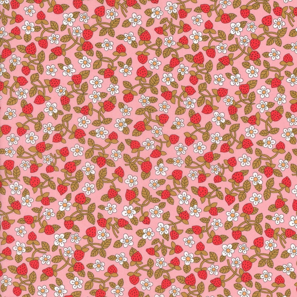 Strawberries and Cream (C)