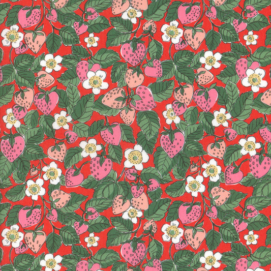 Strawberry Dream (A)