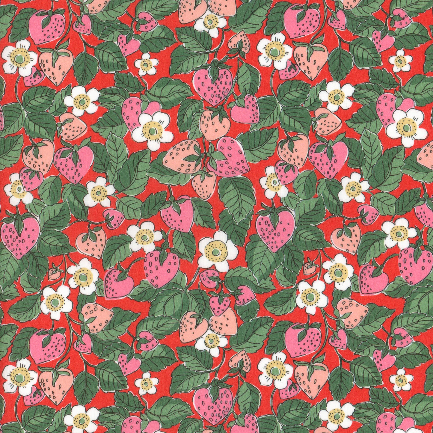 Strawberry Dream (A)